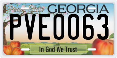 GA license plate PVE0063