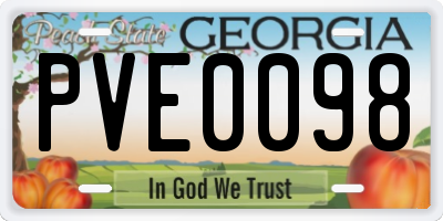 GA license plate PVE0098