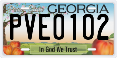 GA license plate PVE0102