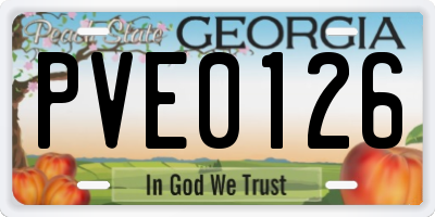 GA license plate PVE0126