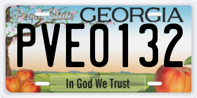 GA license plate PVE0132
