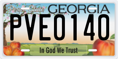 GA license plate PVE0140