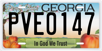 GA license plate PVE0147