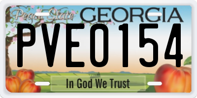 GA license plate PVE0154