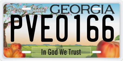 GA license plate PVE0166