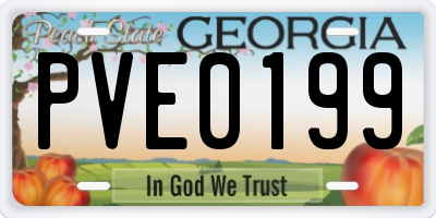 GA license plate PVE0199