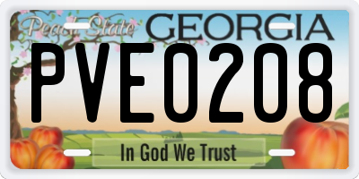GA license plate PVE0208