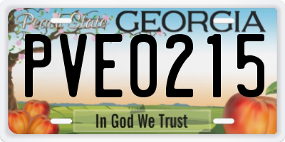 GA license plate PVE0215