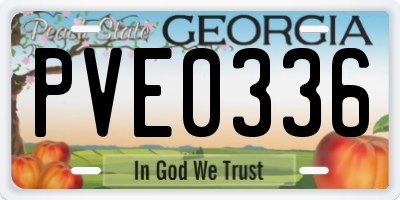 GA license plate PVE0336