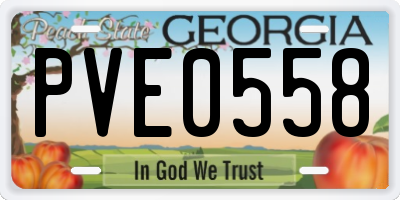 GA license plate PVE0558