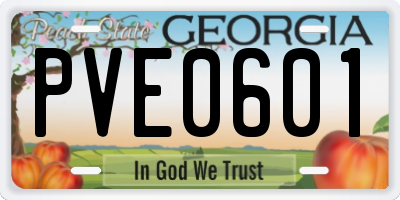 GA license plate PVE0601