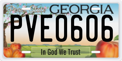 GA license plate PVE0606