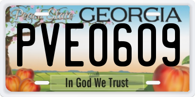GA license plate PVE0609