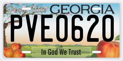 GA license plate PVE0620