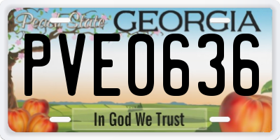 GA license plate PVE0636
