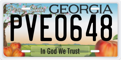GA license plate PVE0648