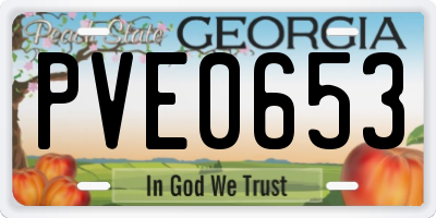 GA license plate PVE0653