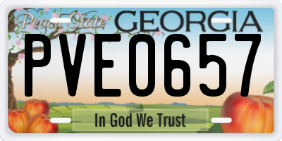 GA license plate PVE0657