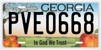 GA license plate PVE0668