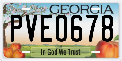 GA license plate PVE0678