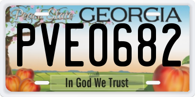 GA license plate PVE0682