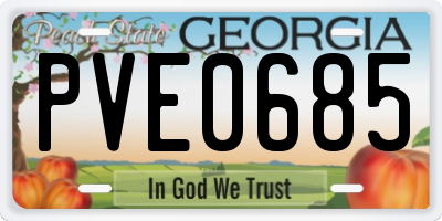 GA license plate PVE0685