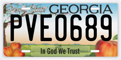 GA license plate PVE0689