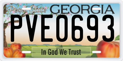GA license plate PVE0693