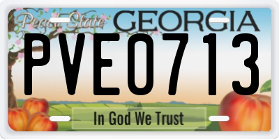 GA license plate PVE0713