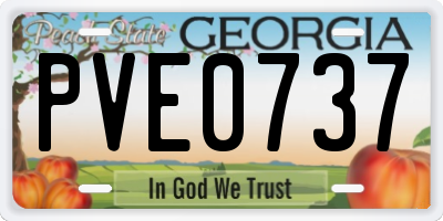GA license plate PVE0737
