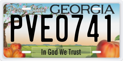 GA license plate PVE0741