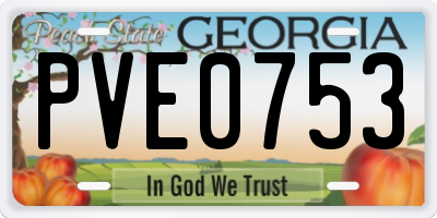 GA license plate PVE0753