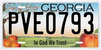GA license plate PVE0793
