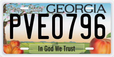 GA license plate PVE0796