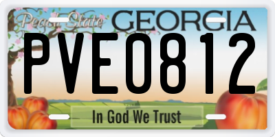 GA license plate PVE0812
