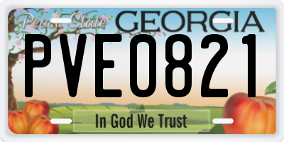 GA license plate PVE0821
