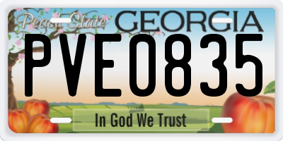 GA license plate PVE0835