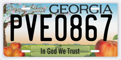 GA license plate PVE0867
