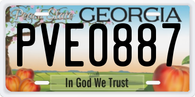 GA license plate PVE0887