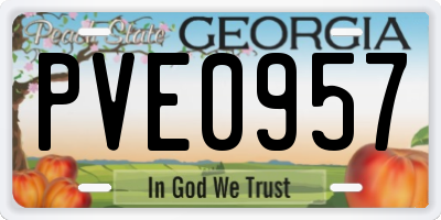 GA license plate PVE0957