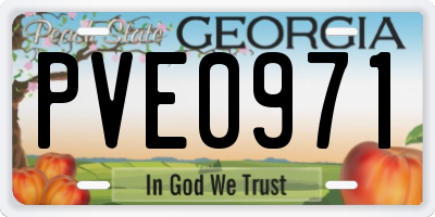 GA license plate PVE0971