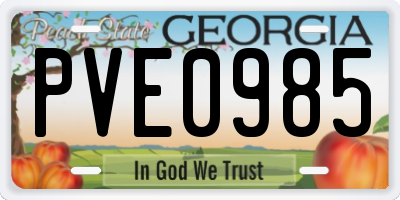 GA license plate PVE0985
