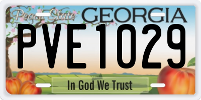 GA license plate PVE1029