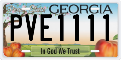 GA license plate PVE1111