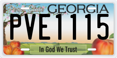 GA license plate PVE1115
