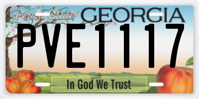 GA license plate PVE1117