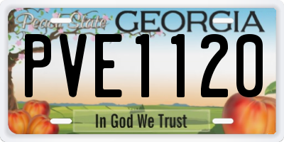 GA license plate PVE1120