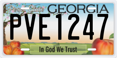 GA license plate PVE1247