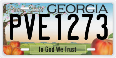 GA license plate PVE1273