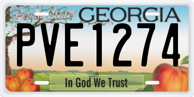 GA license plate PVE1274